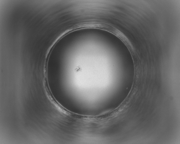 X0000071810852200606301225