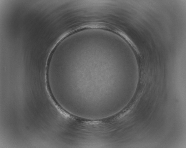 X0000071810853200606301225