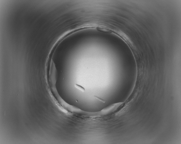 X0000071810854200606301225