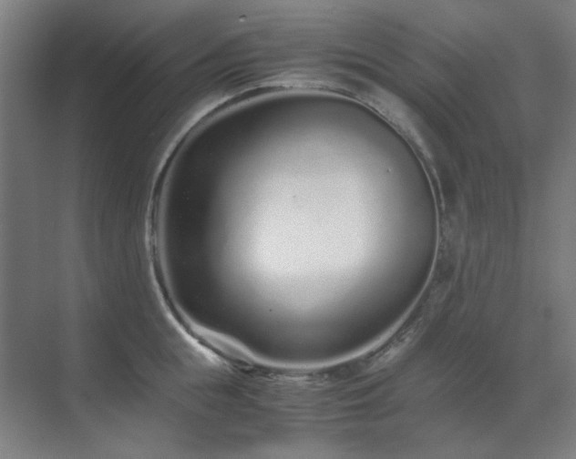 X0000071810855200606301225