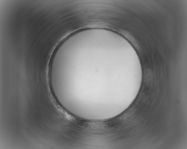 X0000071810856200606301225