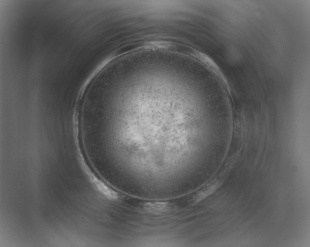 X0000071810859200606301225