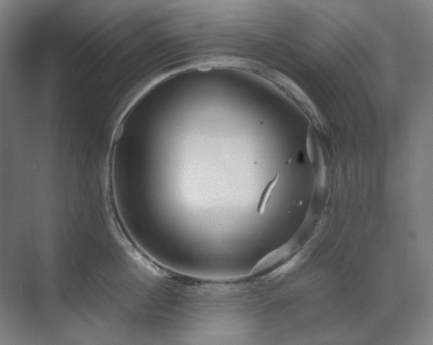 X0000071810860200606301225