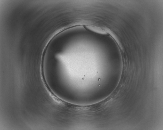 X0000071810861200606301225