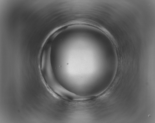 X0000071810862200606301225