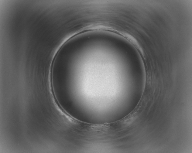 X0000071810863200606301225