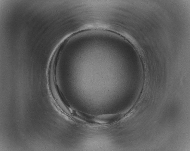 X0000071810864200606301225