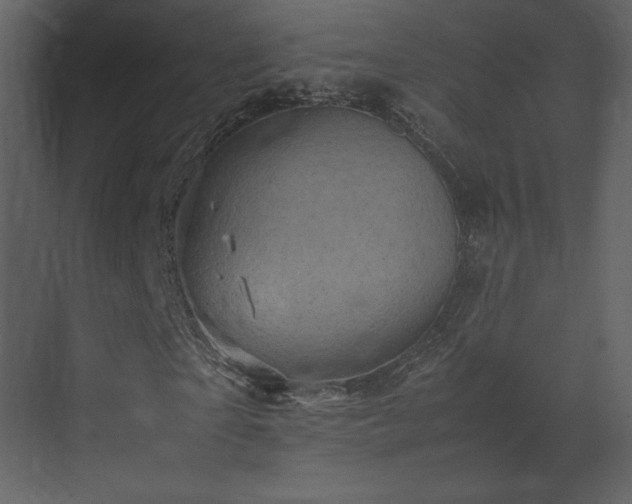 X0000071810865200606301224