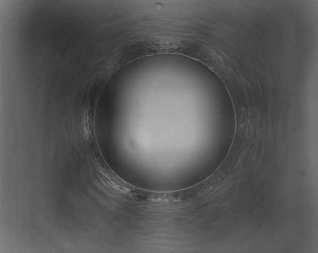 X0000071810866200606301224