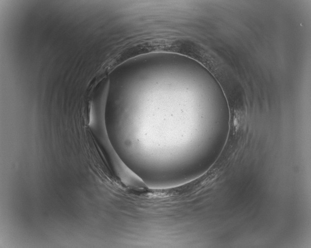 X0000071810867200606301224