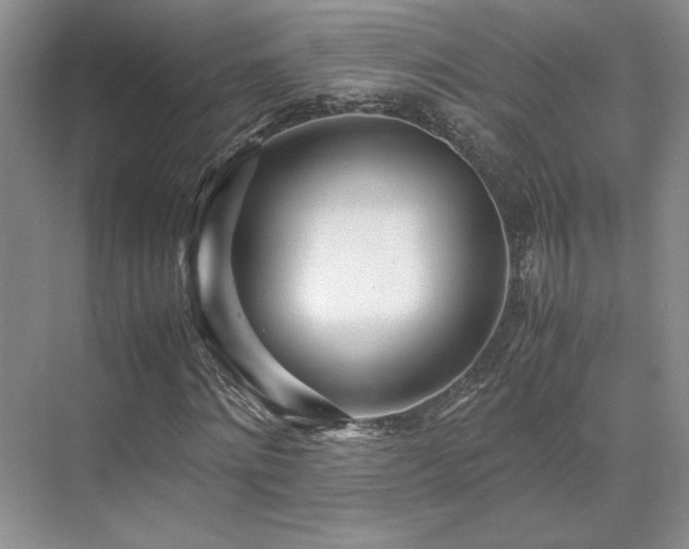 X0000071810868200606301224