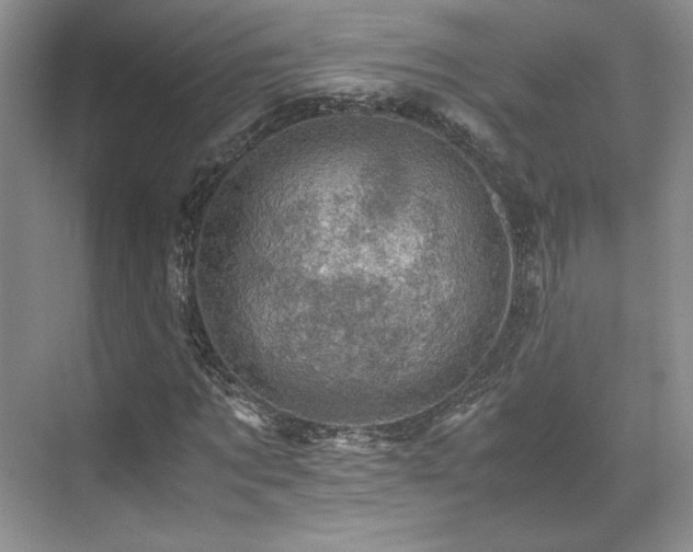 X0000071810869200606301224