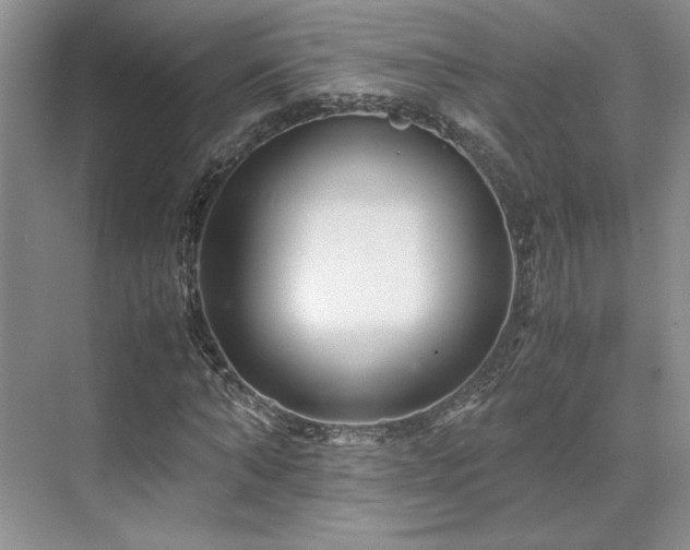 X0000071810870200606301224