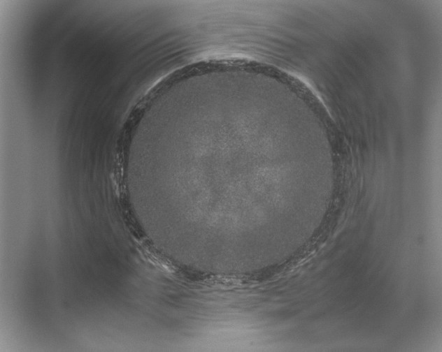 X0000071810871200606301224