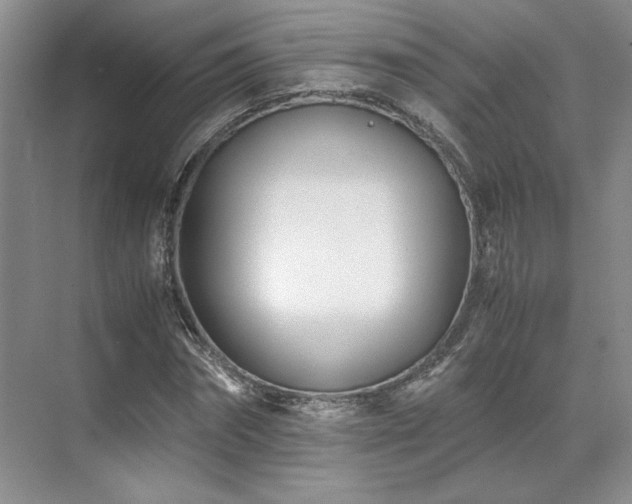 X0000071810874200606301224