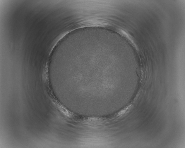 X0000071810875200606301224