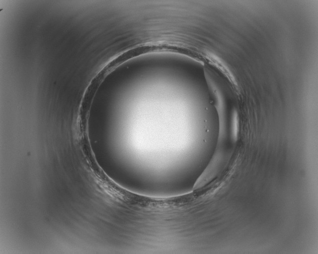 X0000071810876200606301224