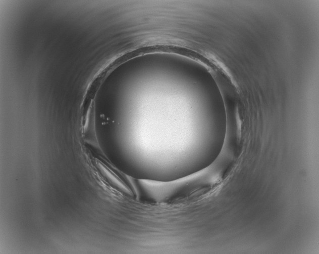 X0000071810877200606301224