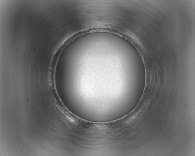 X0000071810878200606301224