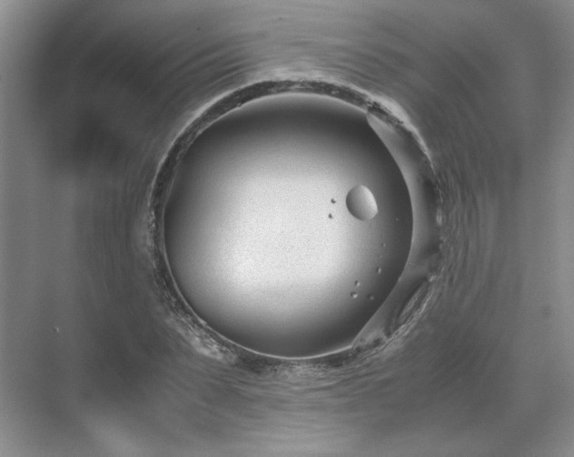 X0000071810879200606301224