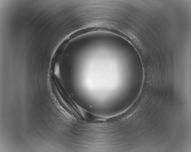 X0000071810880200606301224