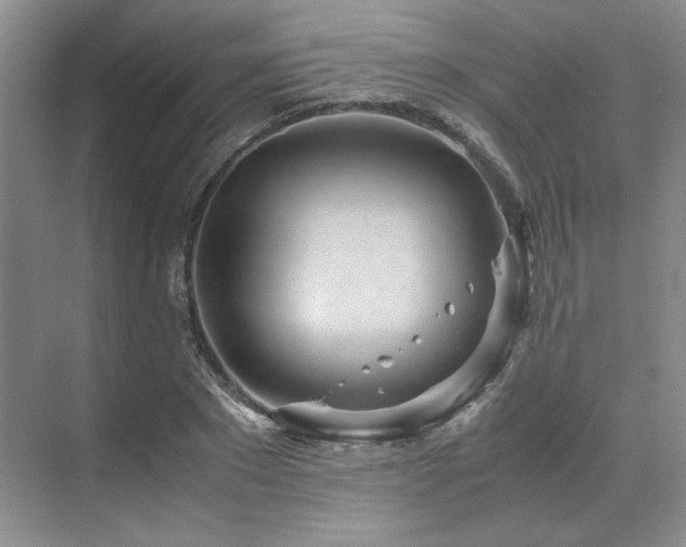 X0000071810881200606301224