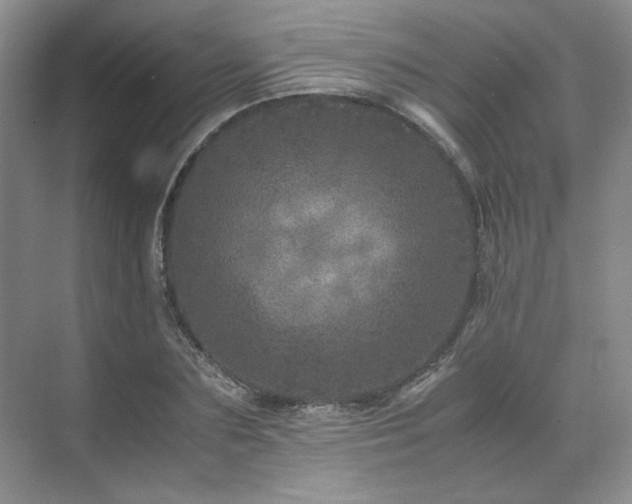 X0000071810883200606301224