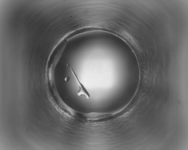 X0000071810884200606301224