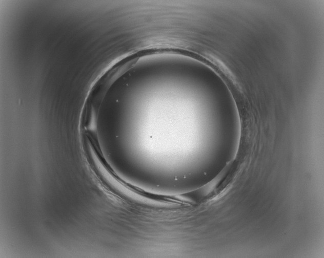 X0000071810885200606301224