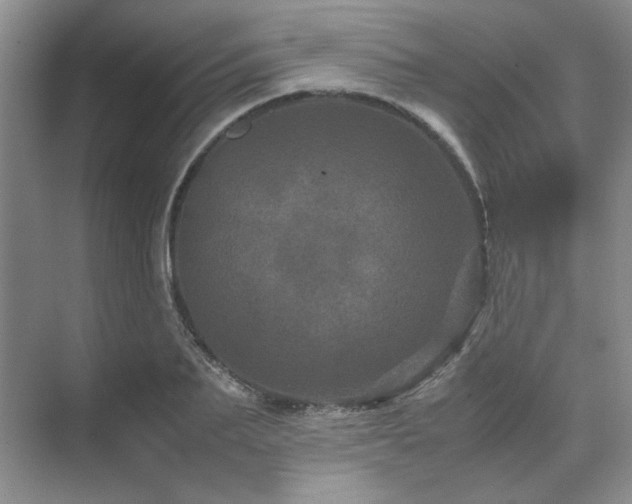 X0000071810887200606301224