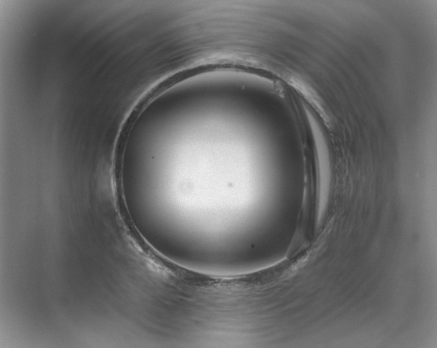 X0000071810888200606301224