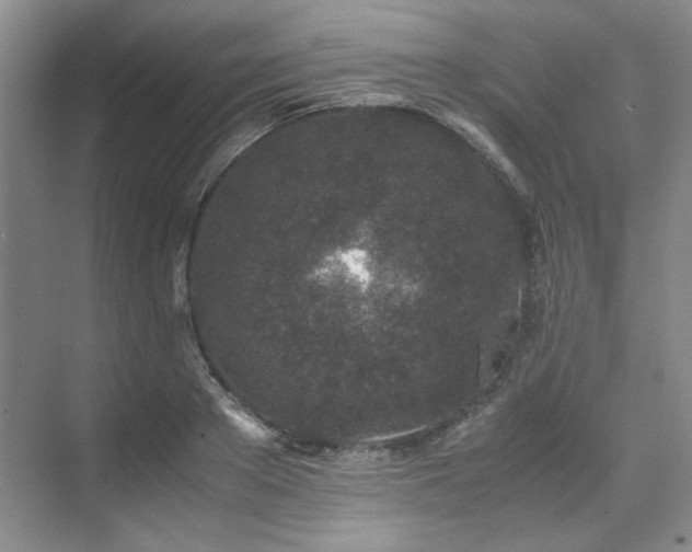 X0000071810889200606301224