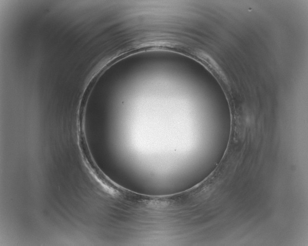 X0000071810890200606301224