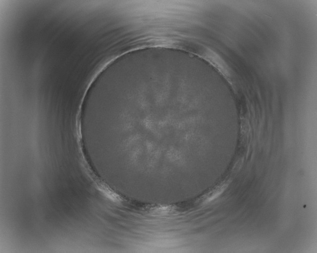 X0000071810891200606301224