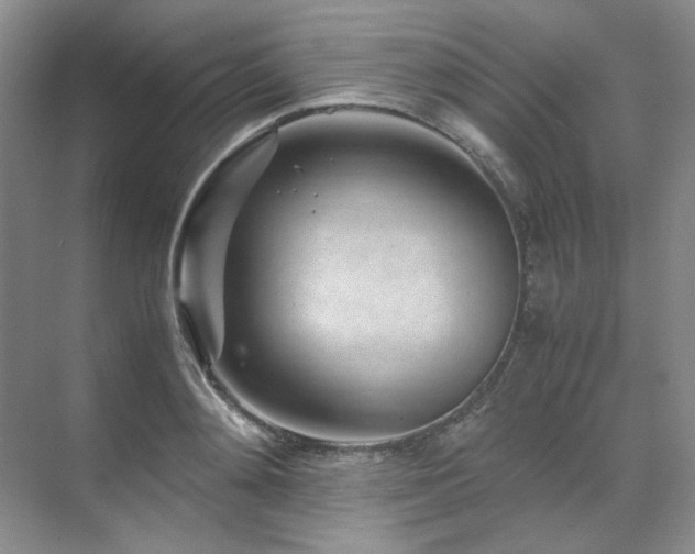 X0000071810892200606301224