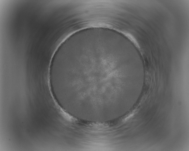 X0000071810895200606301224