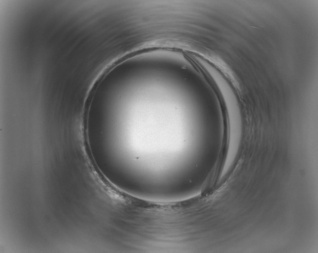 X0000071810896200606301224