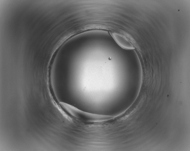 X0000071810898200606301224