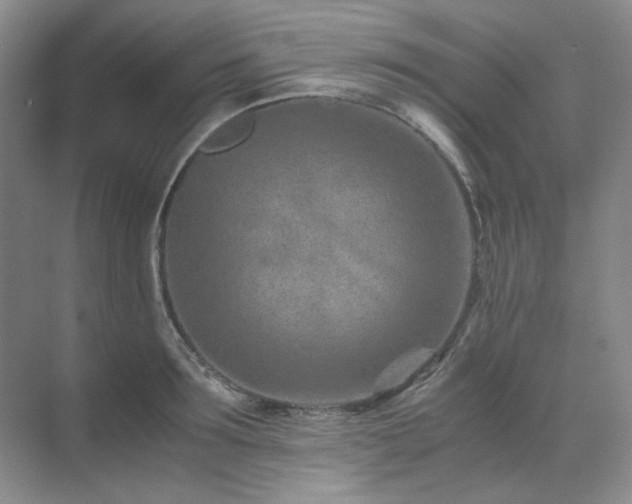 X0000071810899200606301224