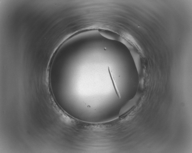 X0000071810900200606301224