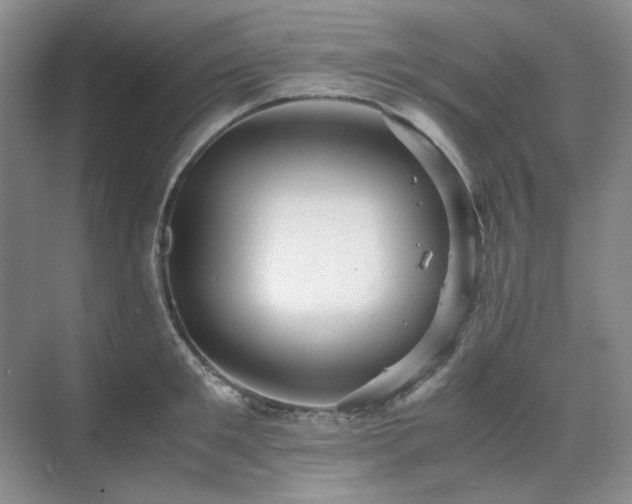 X0000071810901200606301224