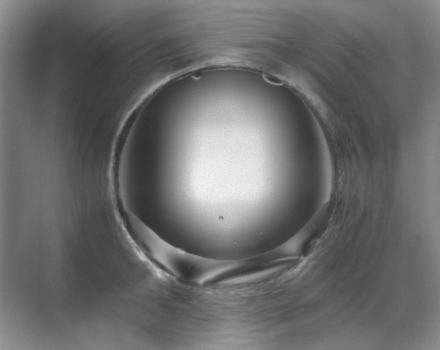 X0000071810902200606301224