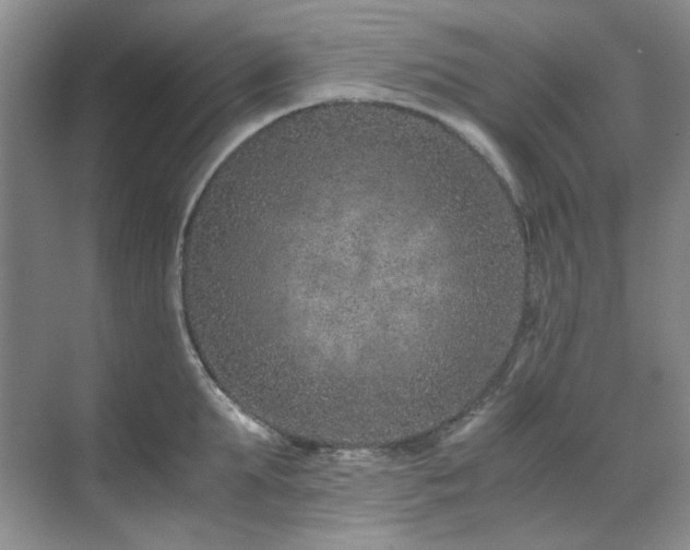 X0000071810903200606301224