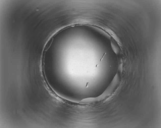 X0000071810904200606301224