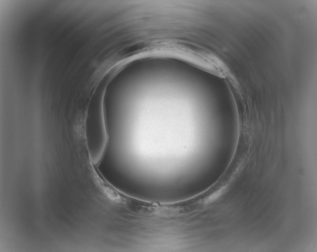 X0000071810905200606301224