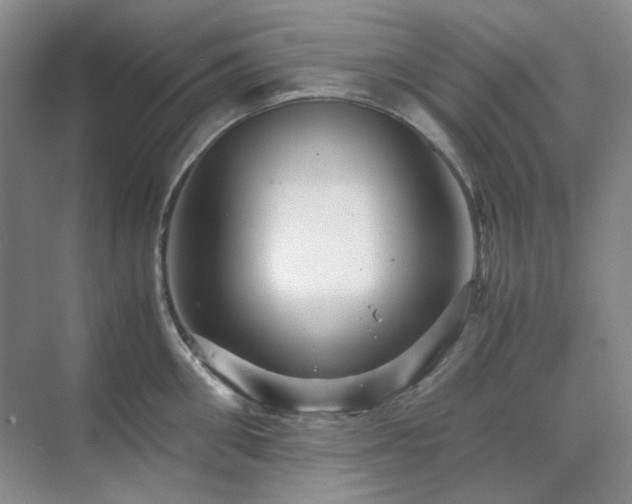 X0000071810906200606301224