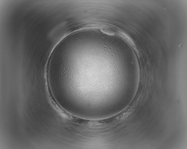 X0000071810907200606301224