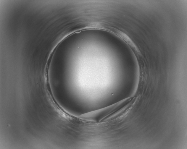 X0000071810908200606301224