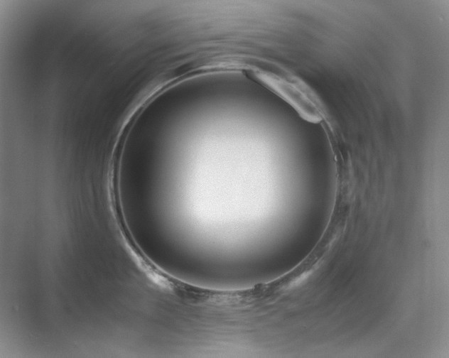 X0000071810909200606301224