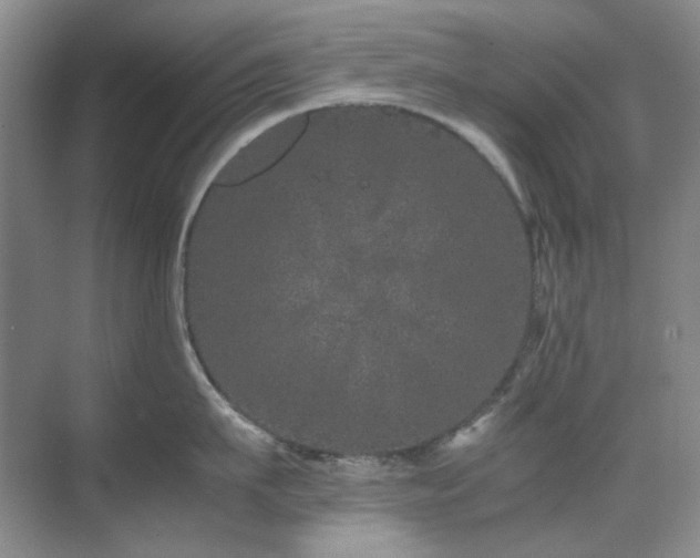 X0000071810911200606301224